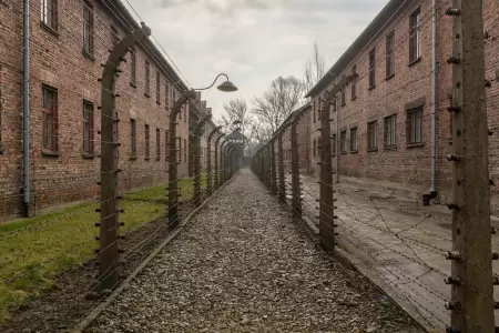 Auschwitz in June