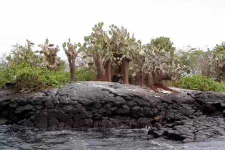 Baltra Island in March