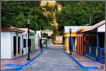 Bayamón