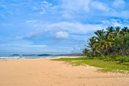 Bentota