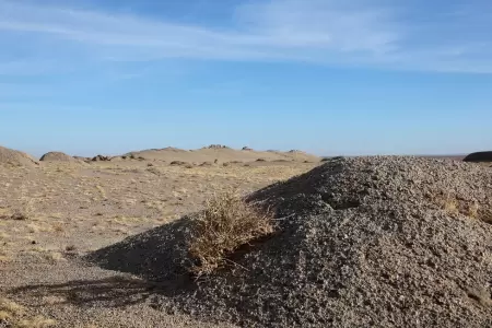 Dalanzadgad in August