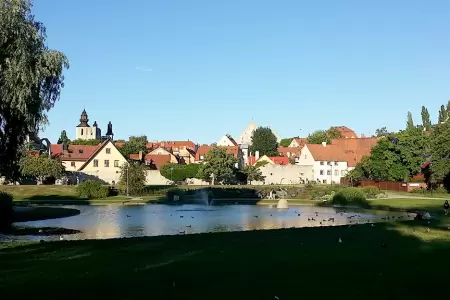 Gotland in February