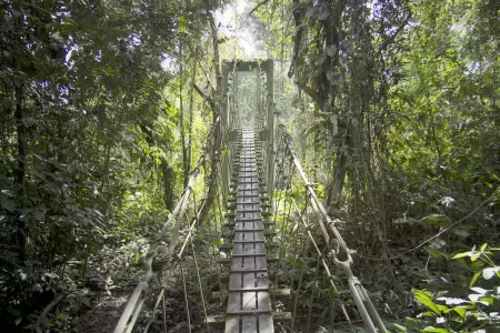 Gunung Mulu National Park