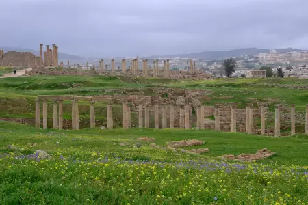 Irbid