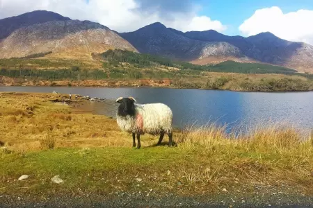 Travel budget in Ireland