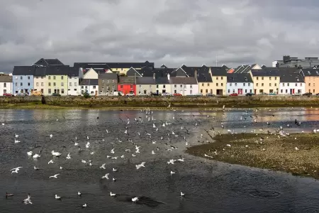 Galway in July