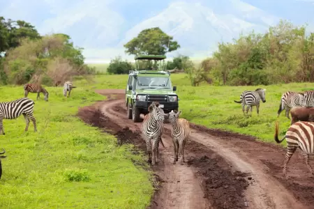 Ngorongoro Conservation Area in January