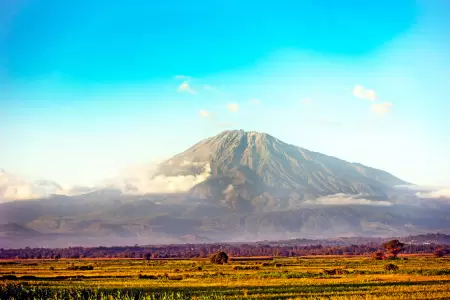 Arusha National Park in January