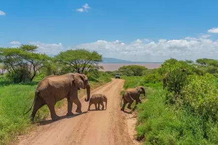 Tarangire National Park in September
