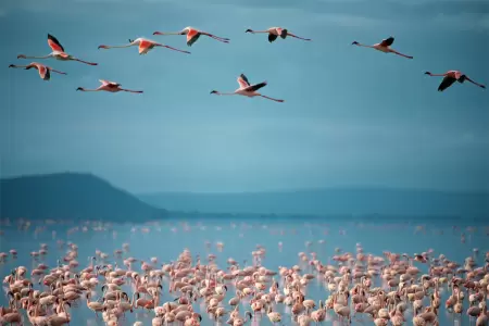 Lake Manyara National Park in January