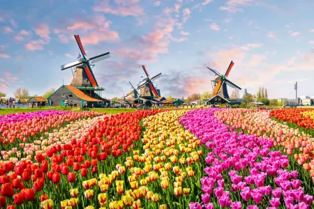 Travel budget in the Netherlands