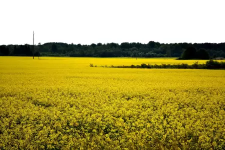 Saaremaa in February