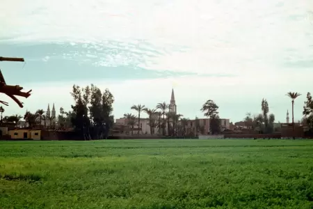 Shibin El Kom
