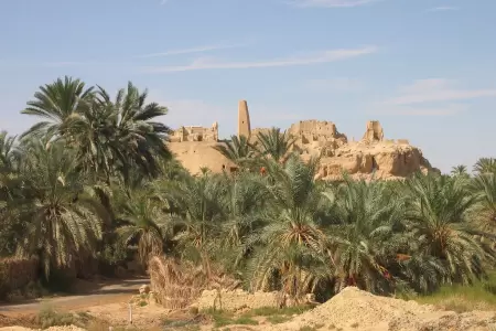 Western Desert in August