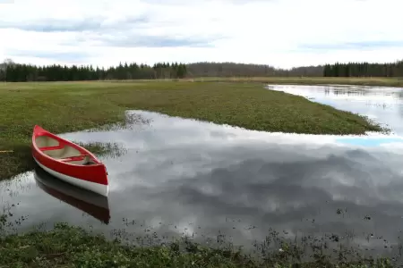 Soomaa National Park