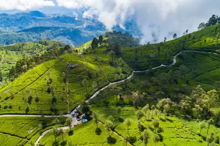 Horton Plains National Park