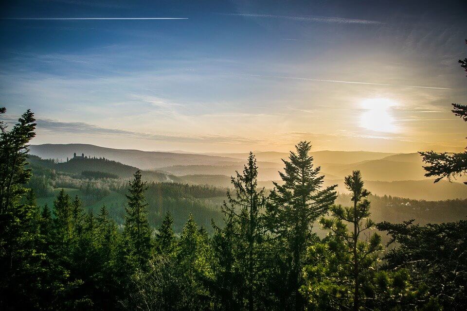 Šumava National Park : 