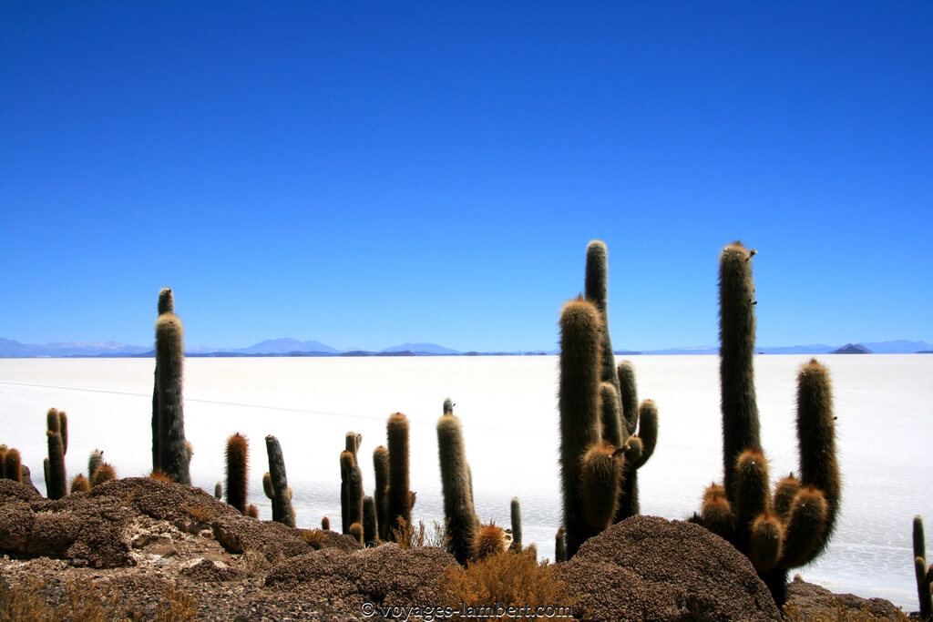 Best Time to go to Bolivia Climate, Weather, Where to go?