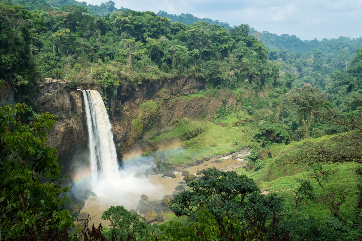 Cameroon: Chutes d'Ekom dans la forêt tropicale (Melong)