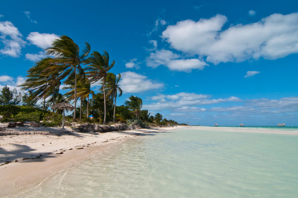 Cayo Guillermo :  Cayo Guillermo :