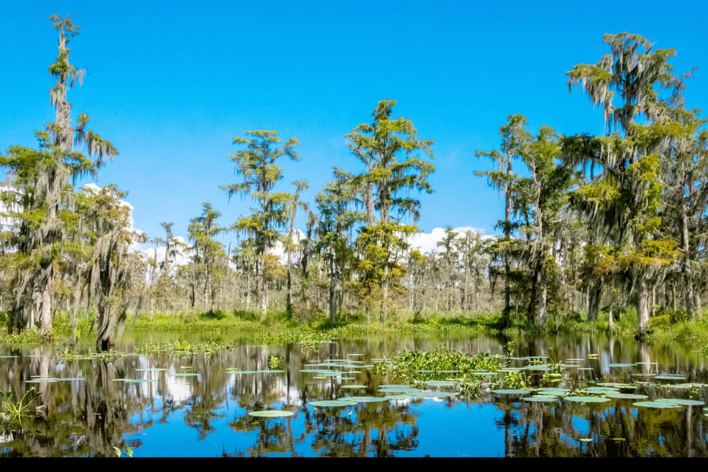Weather in Houma in November Temperature, Rainfall, Sunshine... for