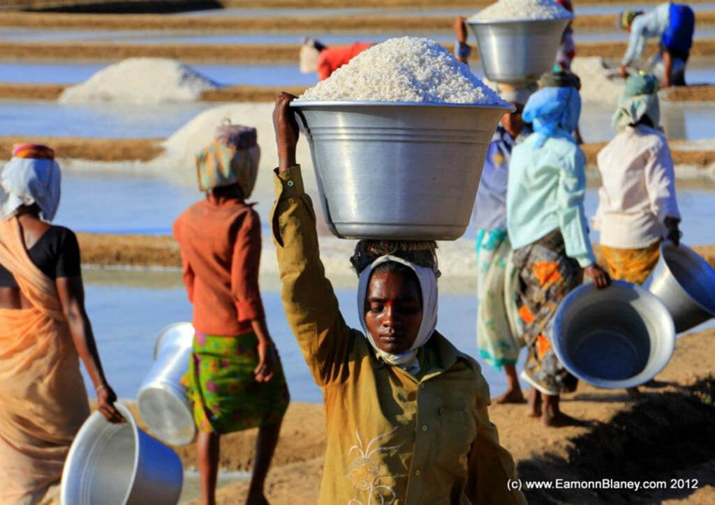 Best Time to Visit Kota Weather and Temperatures. 5 Months to Avoid