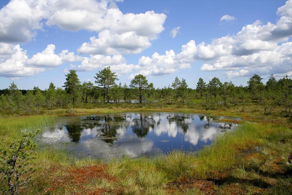 Lahemaa National Park : 