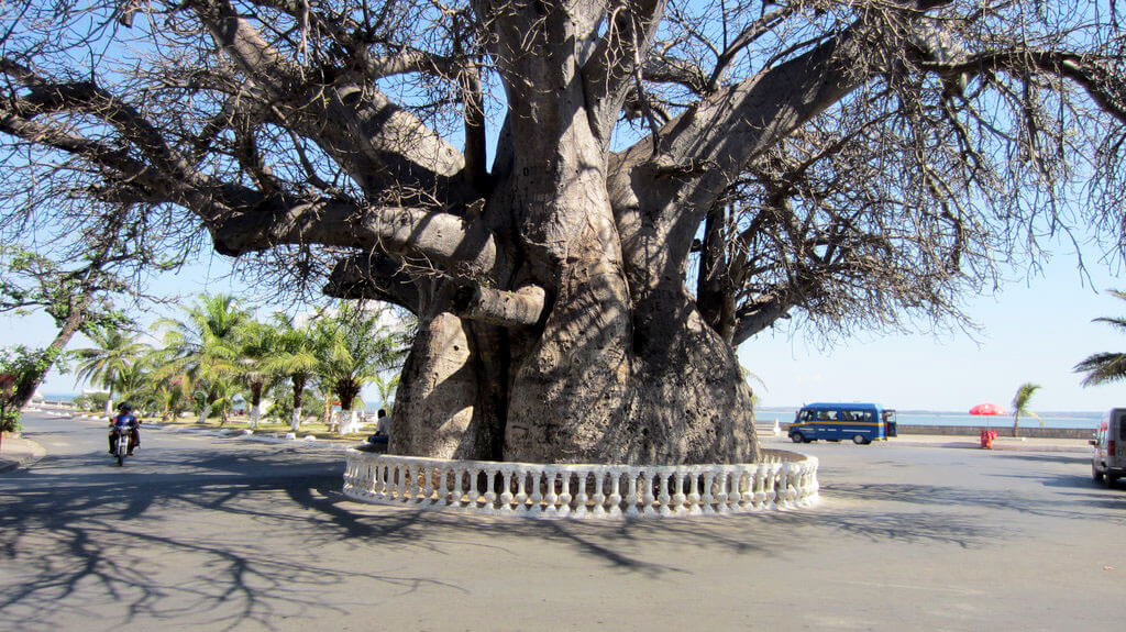 Mahajanga : Mahajanga :