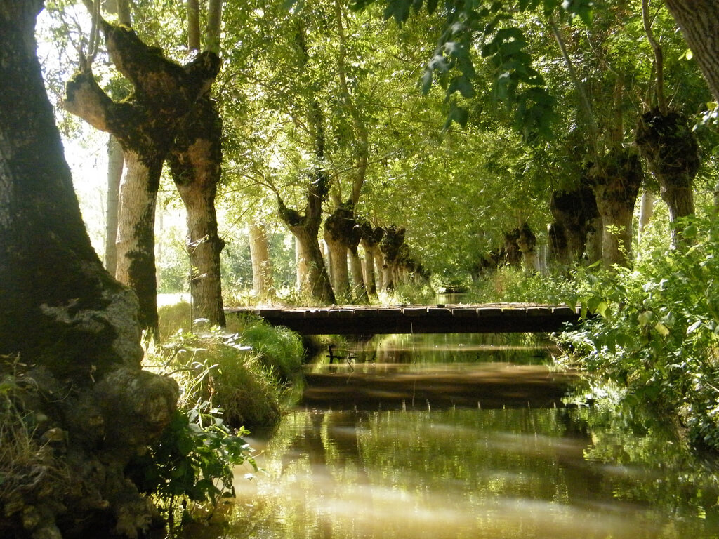 Marais poitevin (Marans) : 