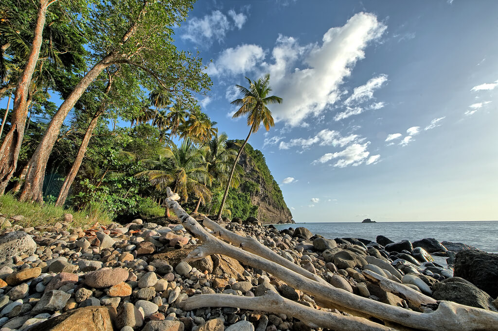 Martinique Climate Chart