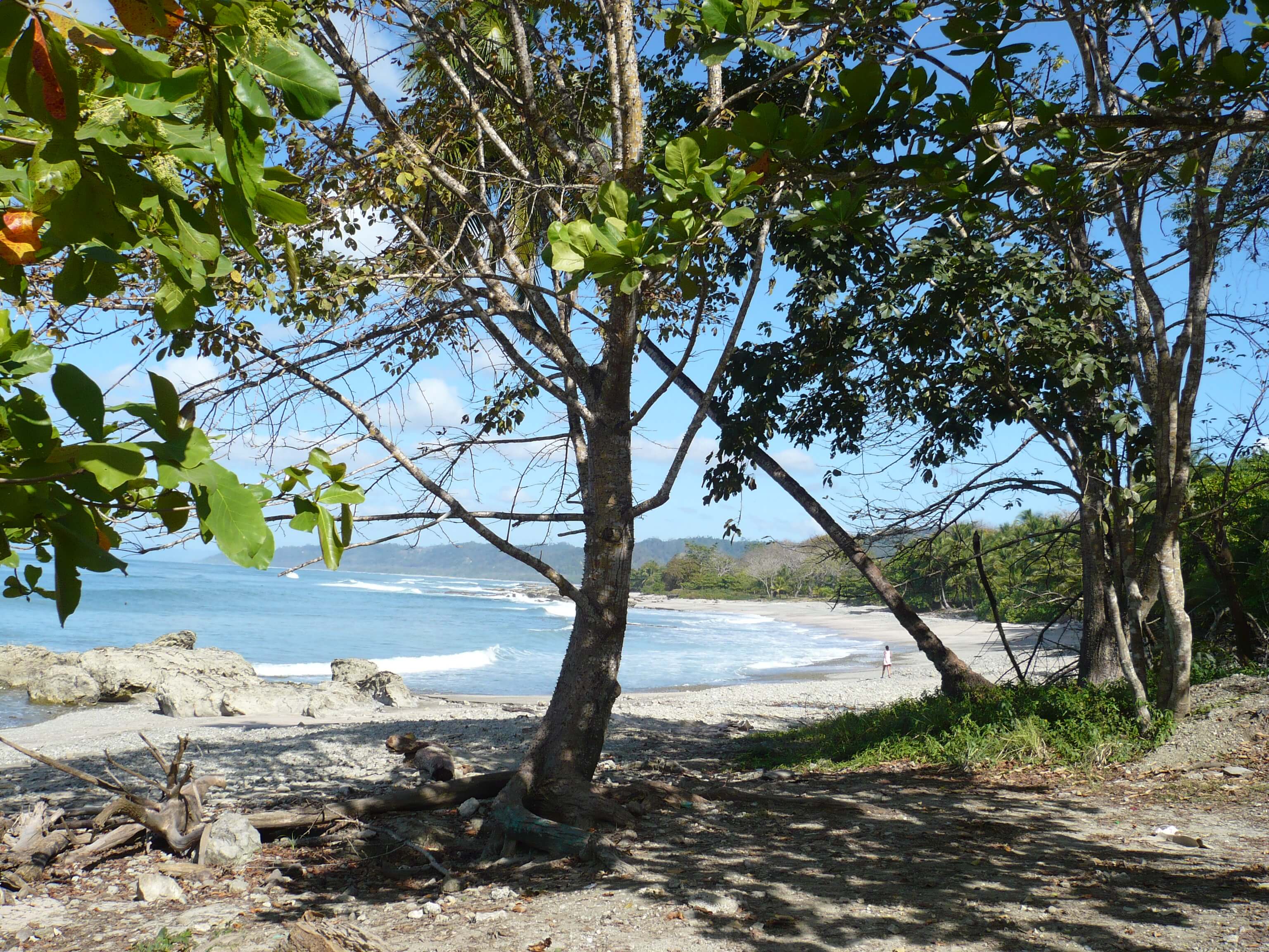 Weather in Montezuma in june 2021 Temperature and Climate in june