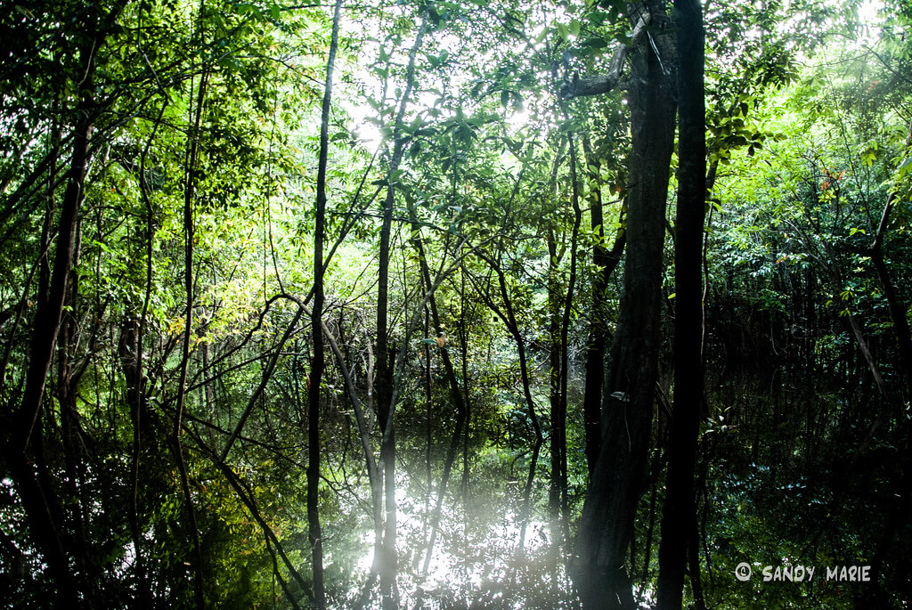 Weather in Oriente (Amazonia) in november 2023 Temperature and