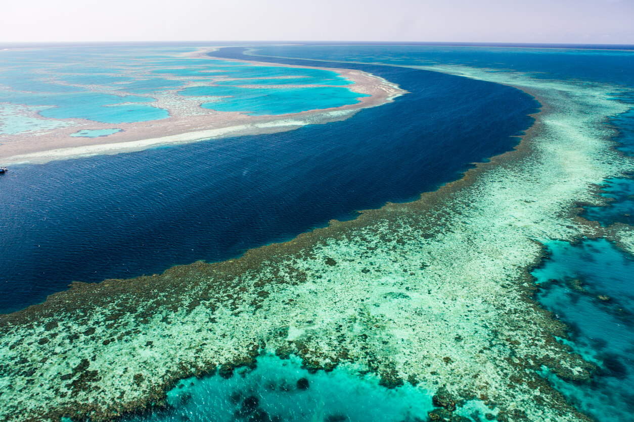 Great Barrier Reef : La grande barrière de corail