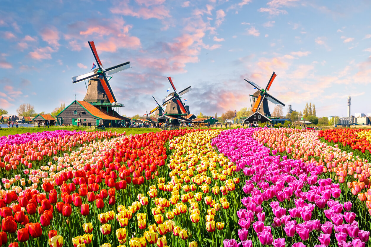 Netherlands April Weather 2024 Forecast and Temperature City by City