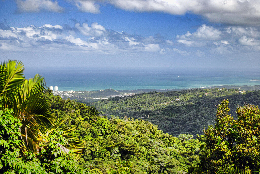 visit puerto rico in january