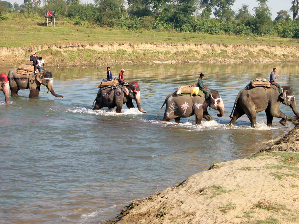 Chitwan