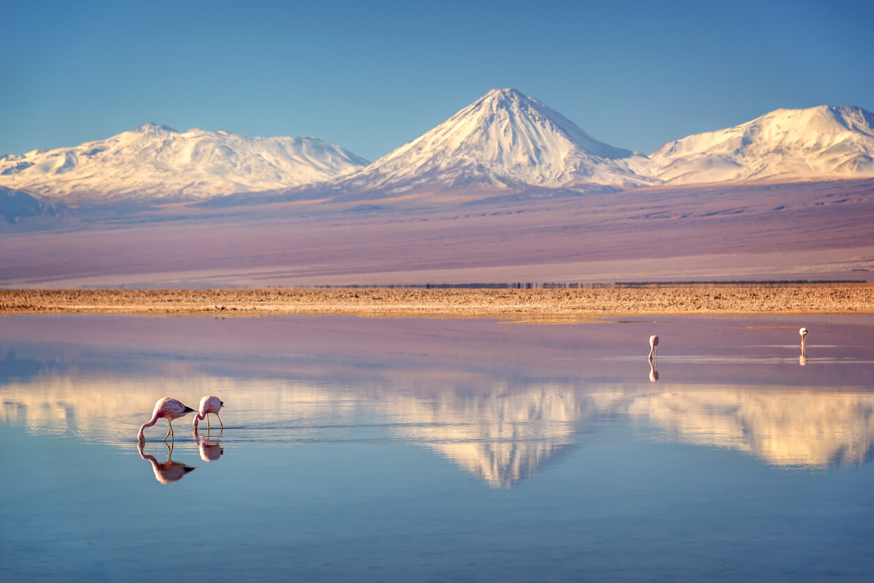 San Pedro de Atacama (Atacama Desert) : Salar de Atacama