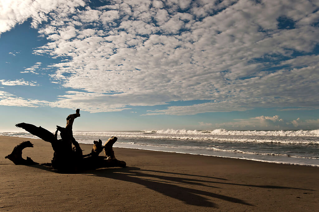 Sigatoka :  Sigatoka :