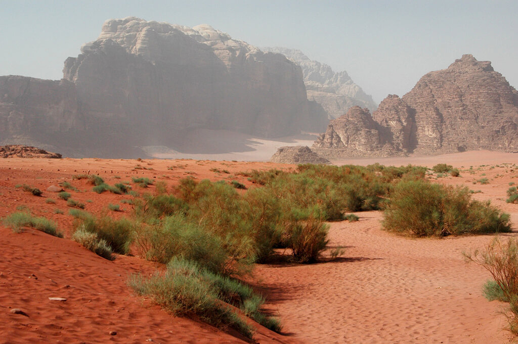Wadi Rum : 