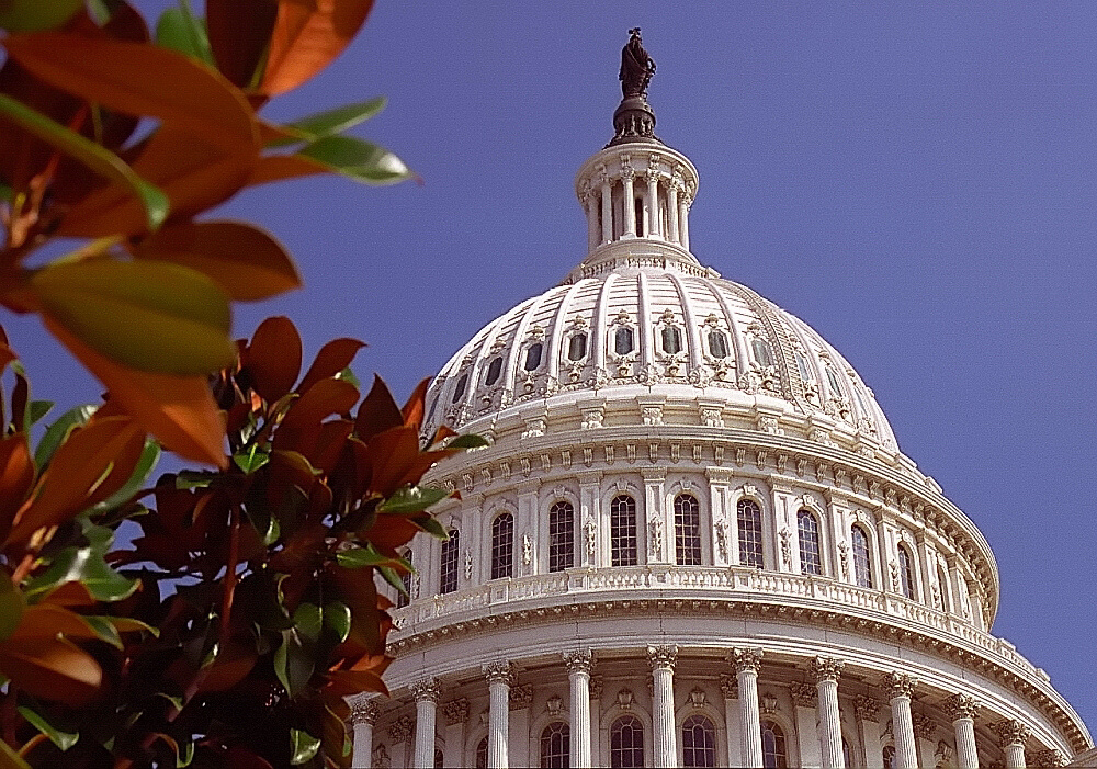 Weather in Washington D. C. in march 2022 Temperature and Climate in
