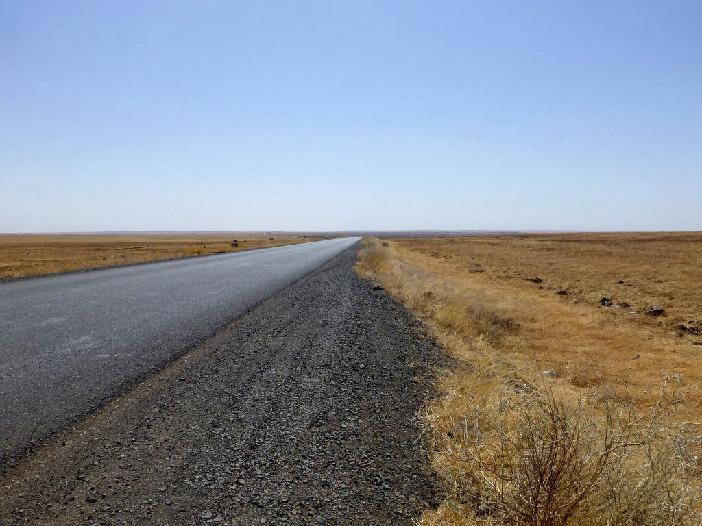 Yangudi Rassa National Park : 